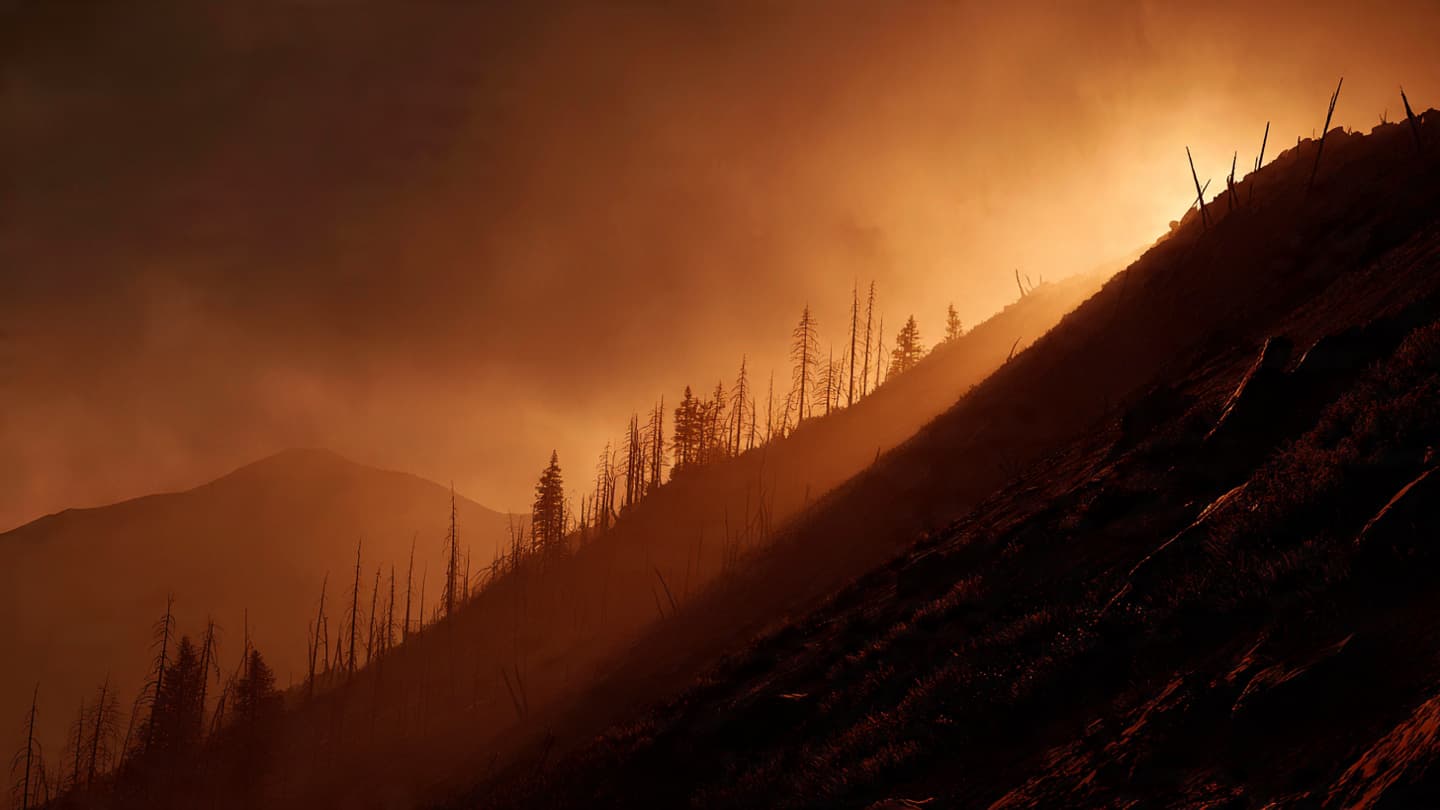 Where the Sky Turns to Ash and the Forest Becomes a Memory of Smoke Where the Sky Turns to Ash and the Forest Becomes a Memory of Smoke