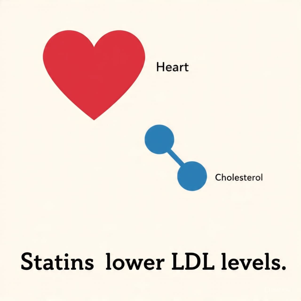 When Expectations Shape Experience: The Story of Statins and Side Effects When Expectations Shape Experience: The Story of Statins and Side Effects