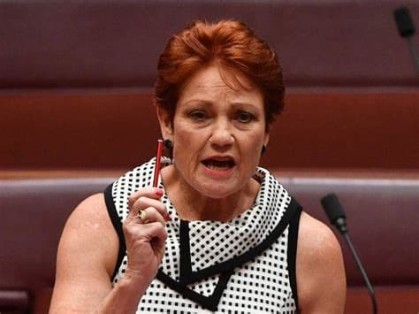Indigenous Leaders Condemn Pauline Hanson’s “Primitive Race” Remarks Indigenous Leaders Condemn Pauline Hanson’s “Primitive Race” Remarks