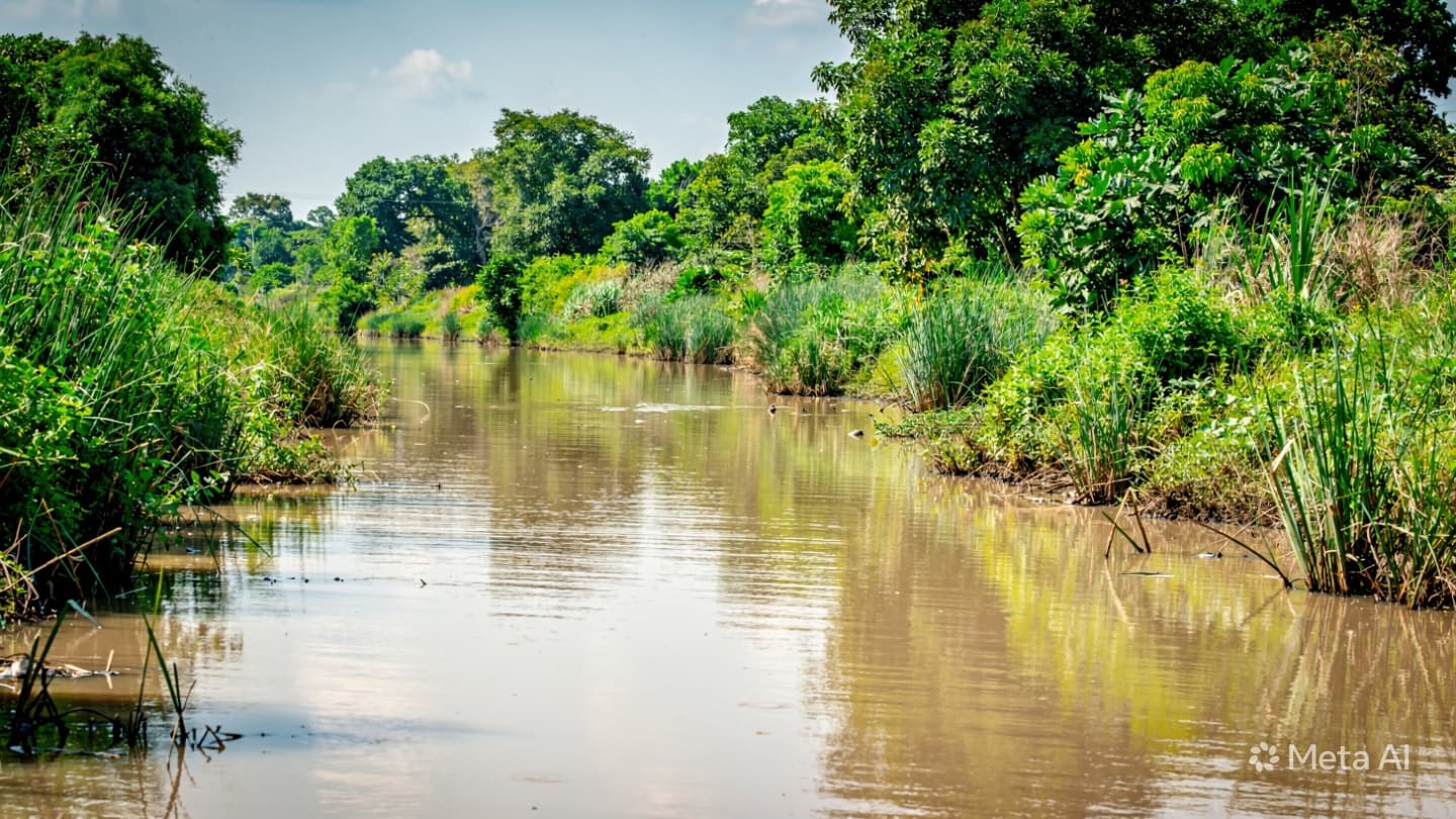 Mekong Delta Tragedy: Drowning Incident Leaves One Child Dead Following Recent Water Safety Alert Mekong Delta Tragedy: Drowning Incident Leaves One Child Dead Following Recent Water Safety Alert