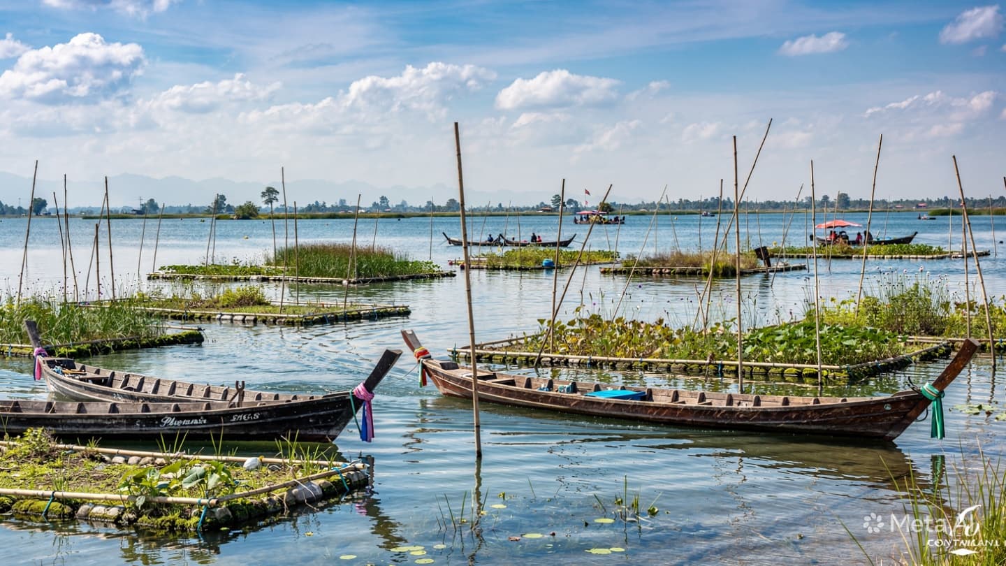 Shan State Incident: Body of Missing Swimmer Found in Inle Lake by Rescue Teams Shan State Incident: Body of Missing Swimmer Found in Inle Lake by Rescue Teams
