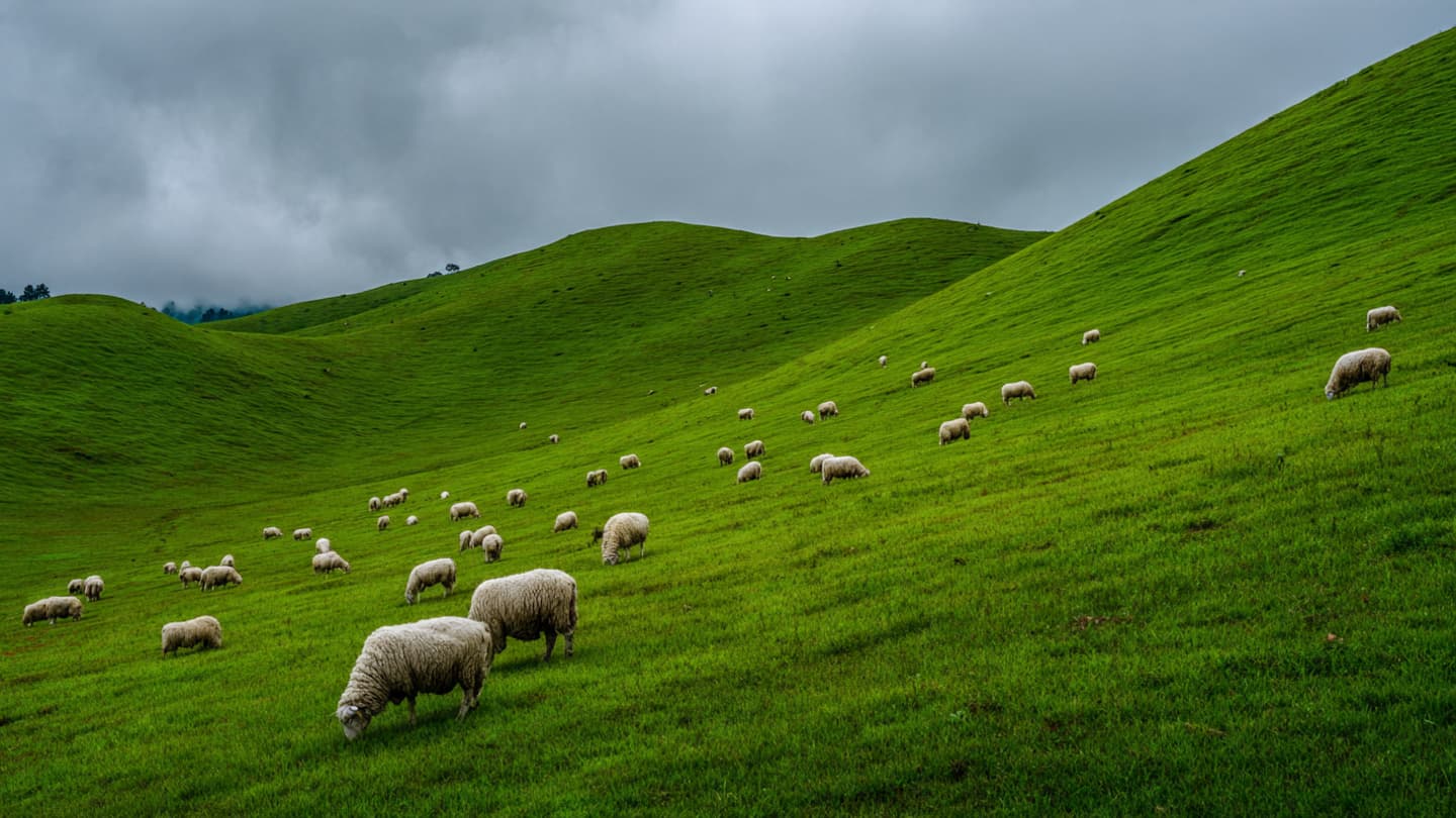Of Rolling Hills and Quiet Breaths, The Search for a Softer Footprint on the Land Of Rolling Hills and Quiet Breaths, The Search for a Softer Footprint on the Land