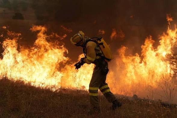 Over 110,000 Evacuated in Spain and France as Wildfires Spread Over 110,000 Evacuated in Spain and France as Wildfires Spread