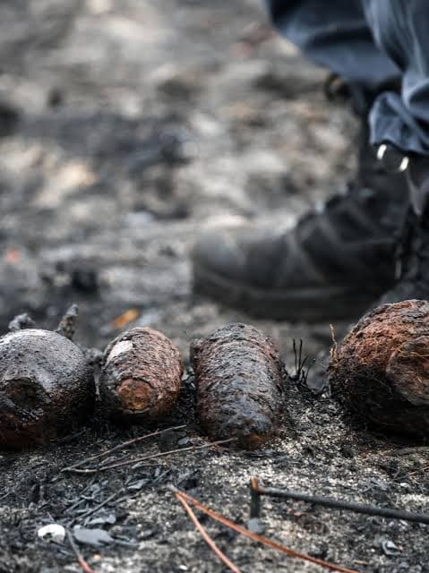 Explosions Heard as More Than 400 WWII Shells Found in Village at Center of France Wildfire Crisis Explosions Heard as More Than 400 WWII Shells Found in Village at Center of France Wildfire Crisis