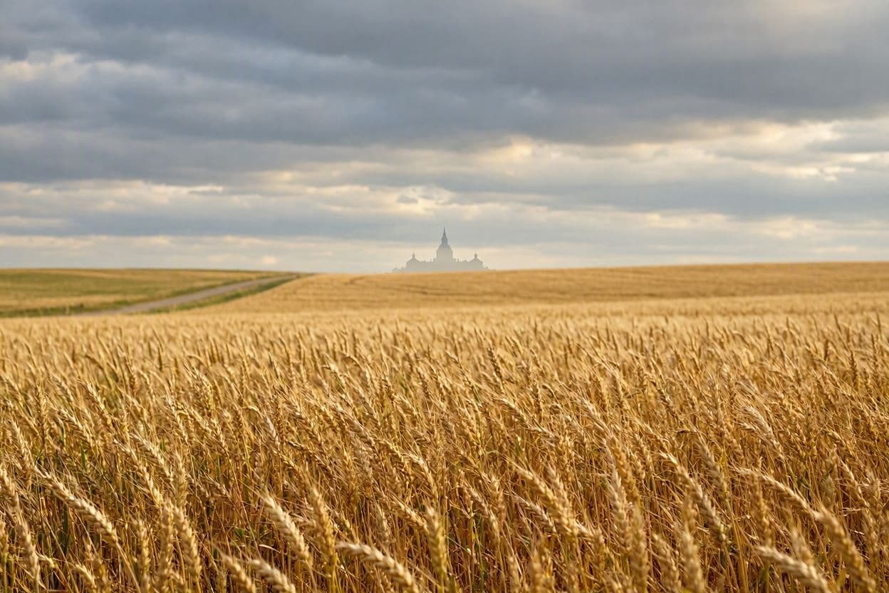 Harvesting Hope: The Wait for Federal Agricultural Aid Harvesting Hope: The Wait for Federal Agricultural Aid
