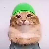 testyyt53553533 testyyt53553533