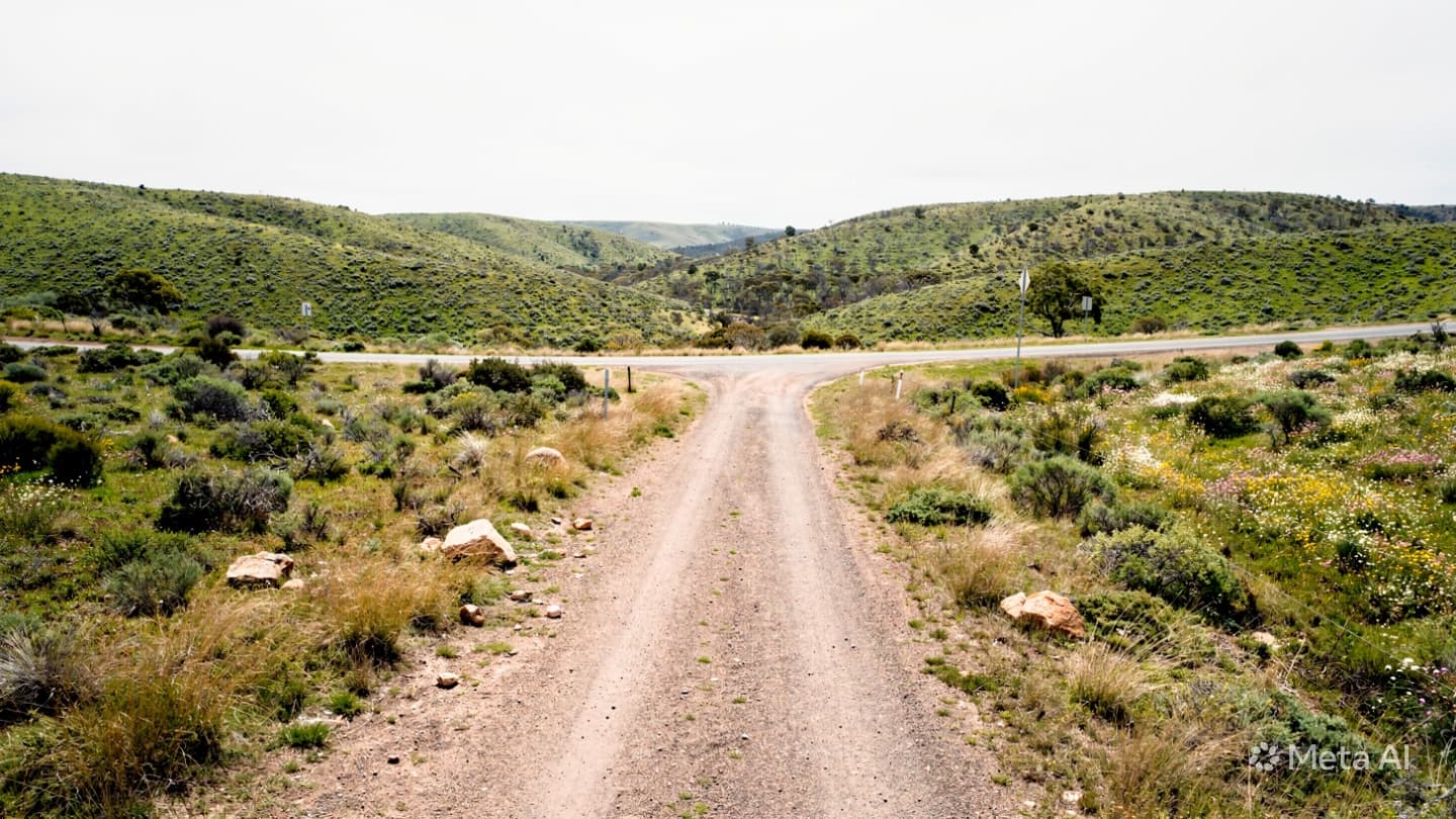 When Paths Collide: Reflecting on the Sudden Quiet of a South Australian Road’s Intersection When Paths Collide: Reflecting on the Sudden Quiet of a South Australian Road’s Intersection