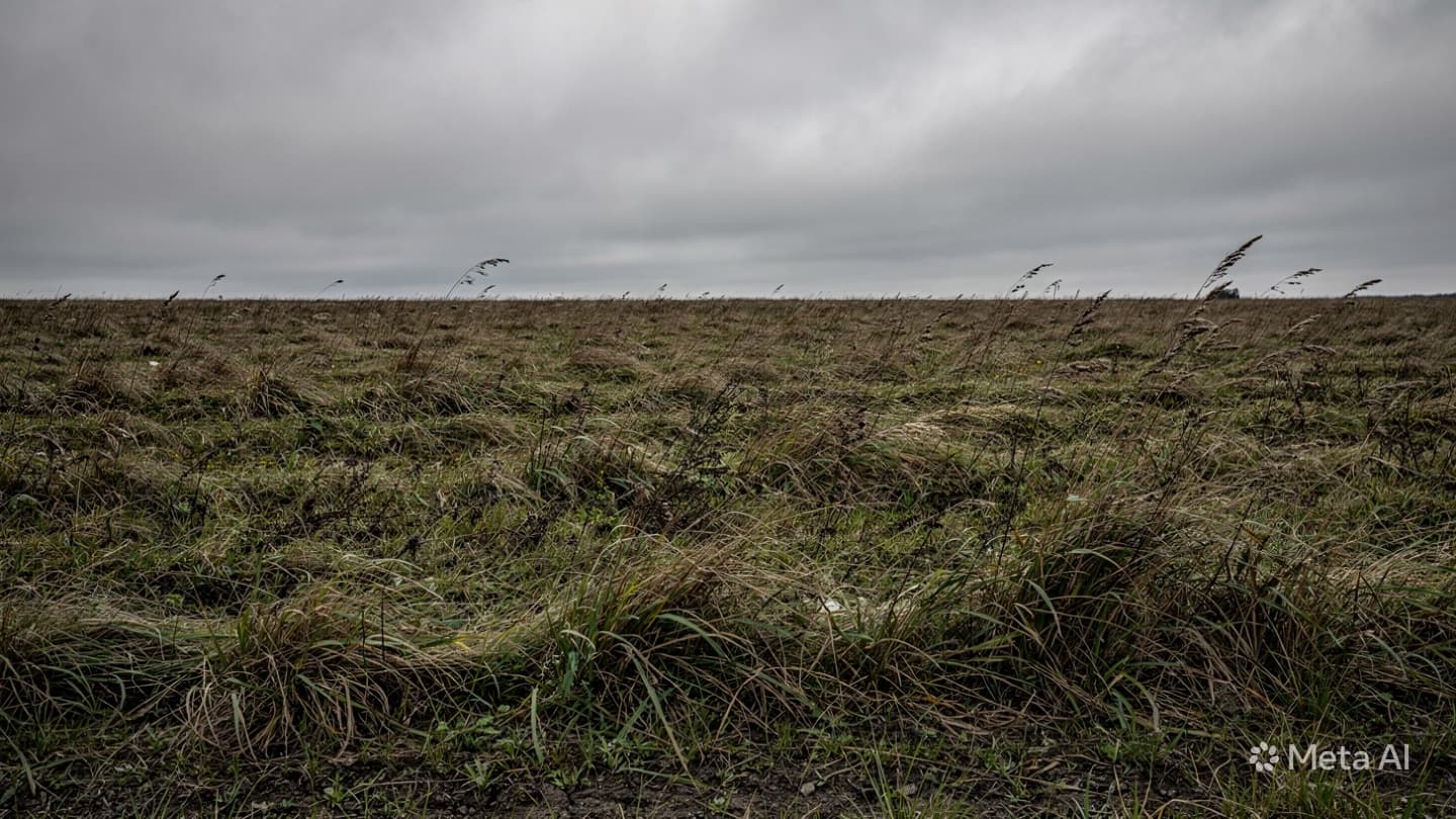 When Peace Remains Elusive: Reflecting Upon The Fragile Safety Of Fields In Eastern Ukraine When Peace Remains Elusive: Reflecting Upon The Fragile Safety Of Fields In Eastern Ukraine