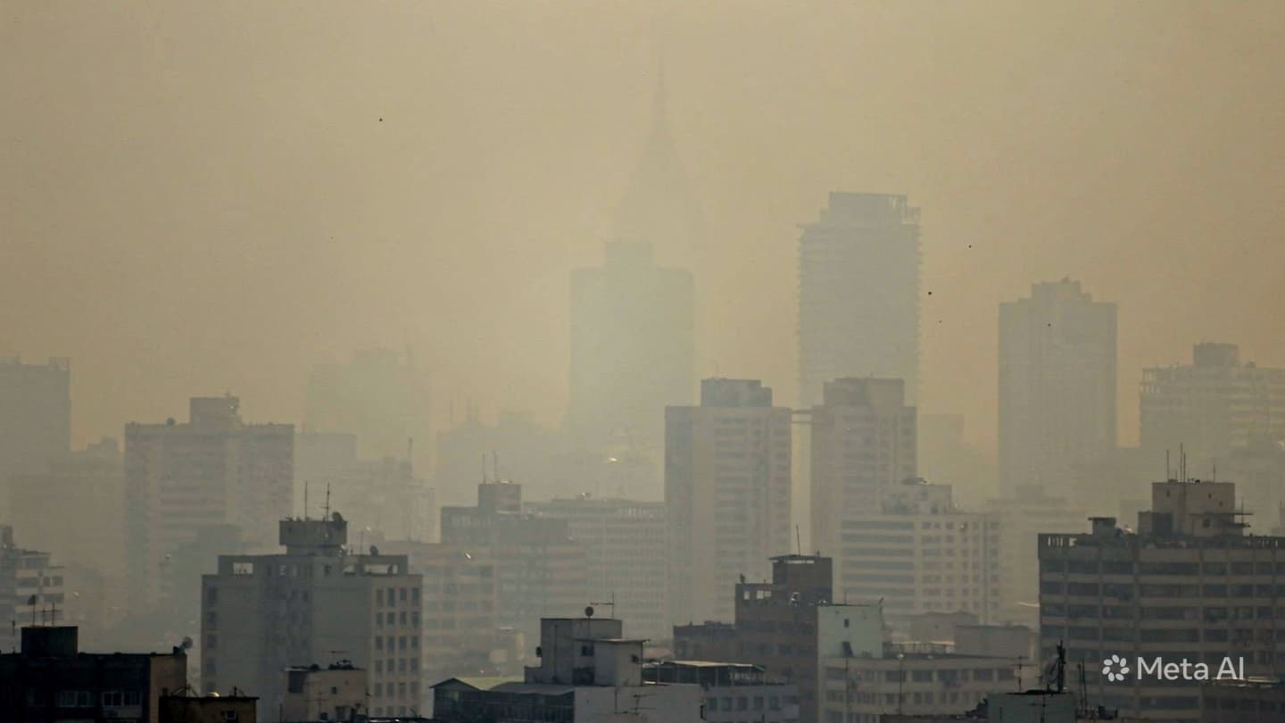 Central Kalimantan Smoke Crisis: Respiratory Failure Claims Life Following Persistent Forest Fire Haze Central Kalimantan Smoke Crisis: Respiratory Failure Claims Life Following Persistent Forest Fire Haze