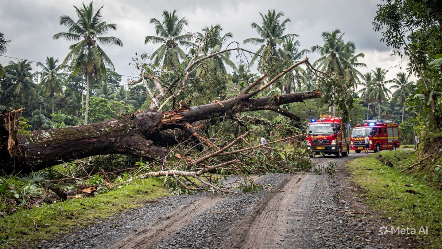 Lampung Storm Tragedy: One Motorist Killed After Vehicle Hits Tree During Early Morning Rain Lampung Storm Tragedy: One Motorist Killed After Vehicle Hits Tree During Early Morning Rain