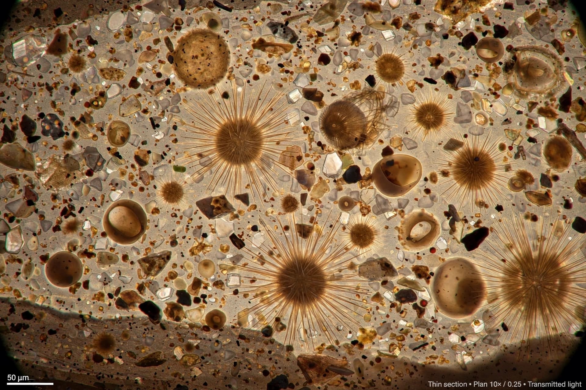 Before the Snowball Earth, tiny soft creatures may have already been here. Before the Snowball Earth, tiny soft creatures may have already been here.