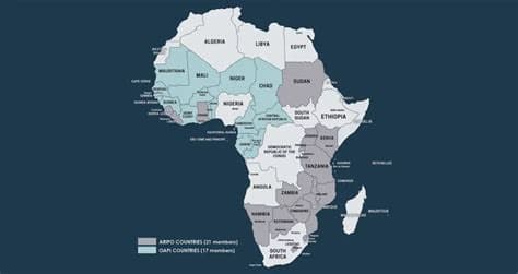 US government map of Africa mislabels every country at global conference US government map of Africa mislabels every country at global conference