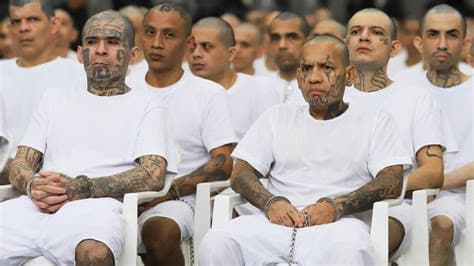A Mass Trial of Alleged MS-13 Gang Members Wraps Up in El Salvador A Mass Trial of Alleged MS-13 Gang Members Wraps Up in El Salvador