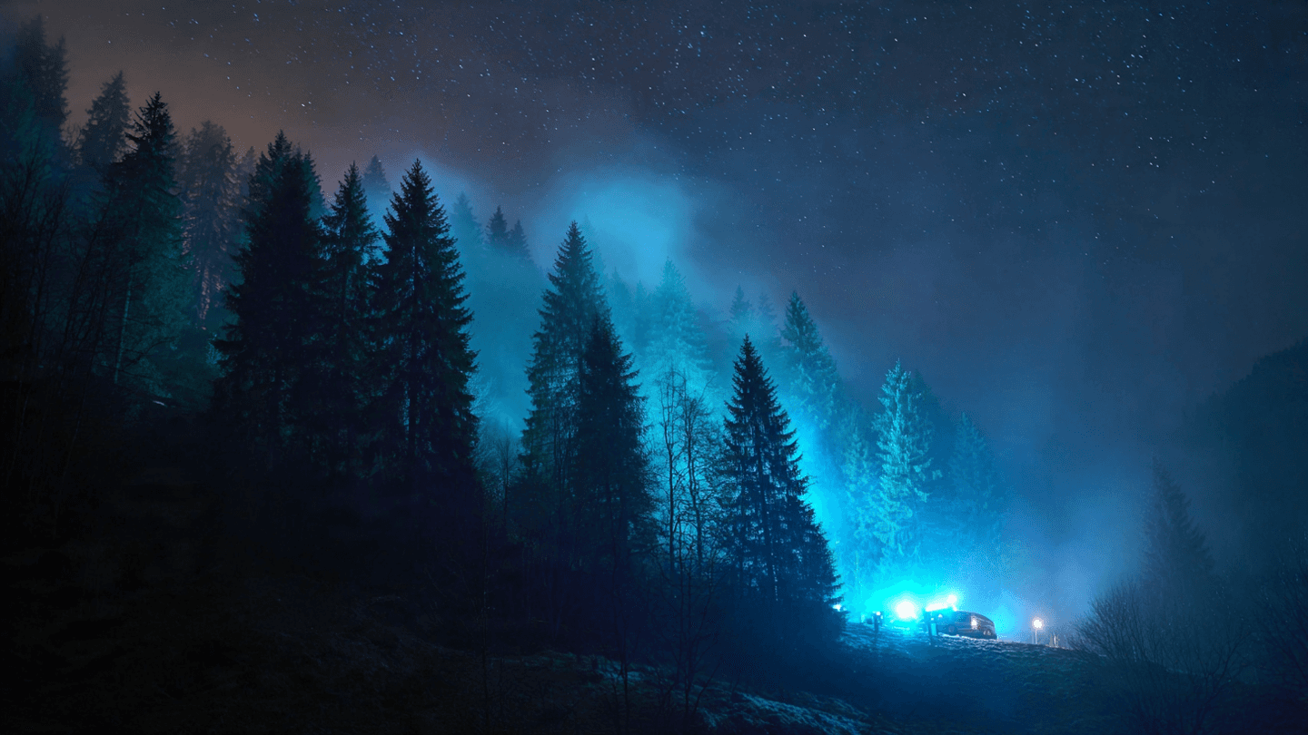 When the Forest Perimeter Fails, A Late-Night Brush Fire Near the Vaduz Boundary When the Forest Perimeter Fails, A Late-Night Brush Fire Near the Vaduz Boundary