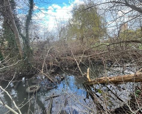 Campaigner Threatened With Prosecution by Environment Agency After Waterway Cleanup Campaigner Threatened With Prosecution by Environment Agency After Waterway Cleanup