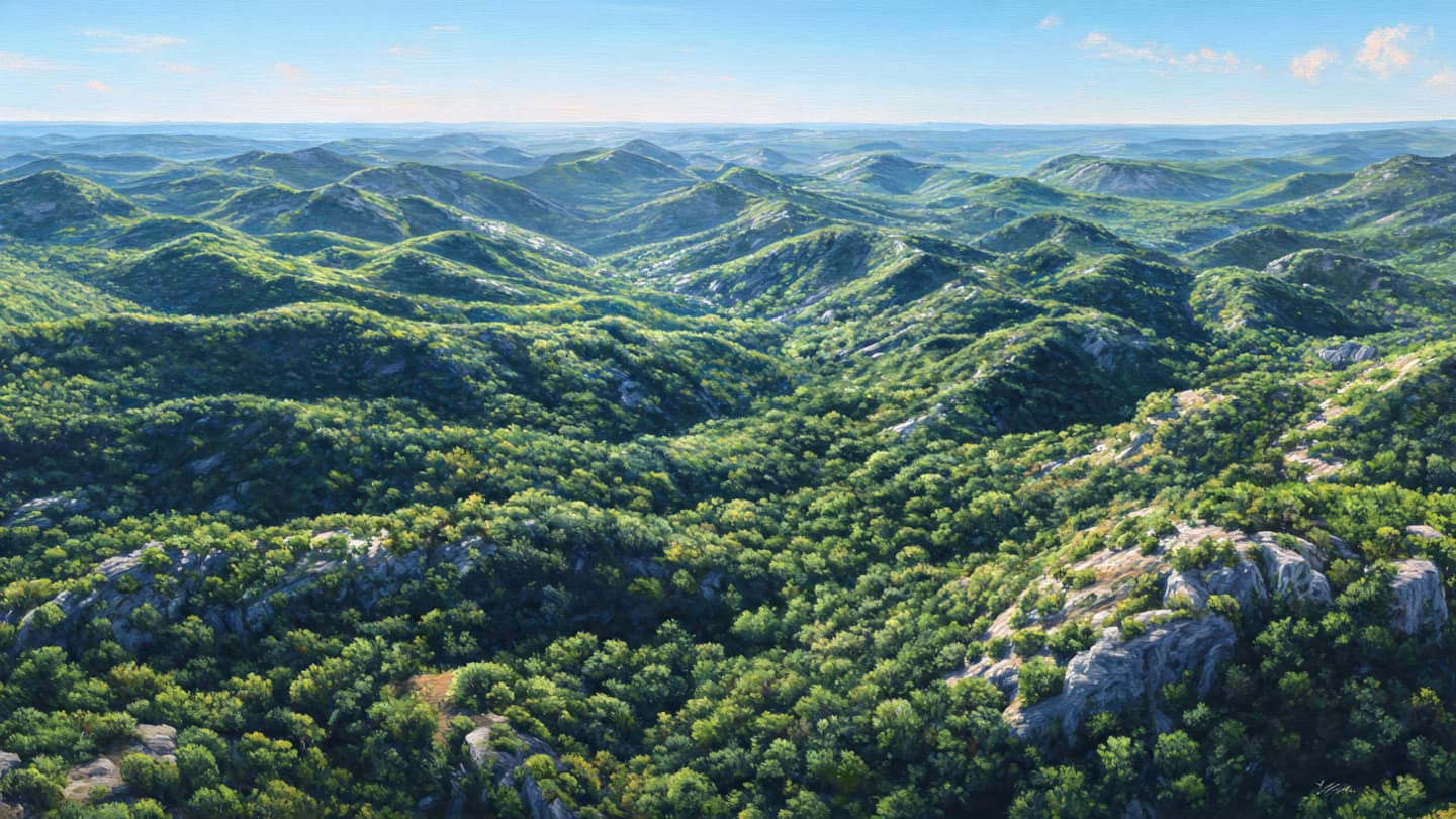 Where the Sky Meets the Treetops, A Final Descent Into the Heart of Texas Where the Sky Meets the Treetops, A Final Descent Into the Heart of Texas