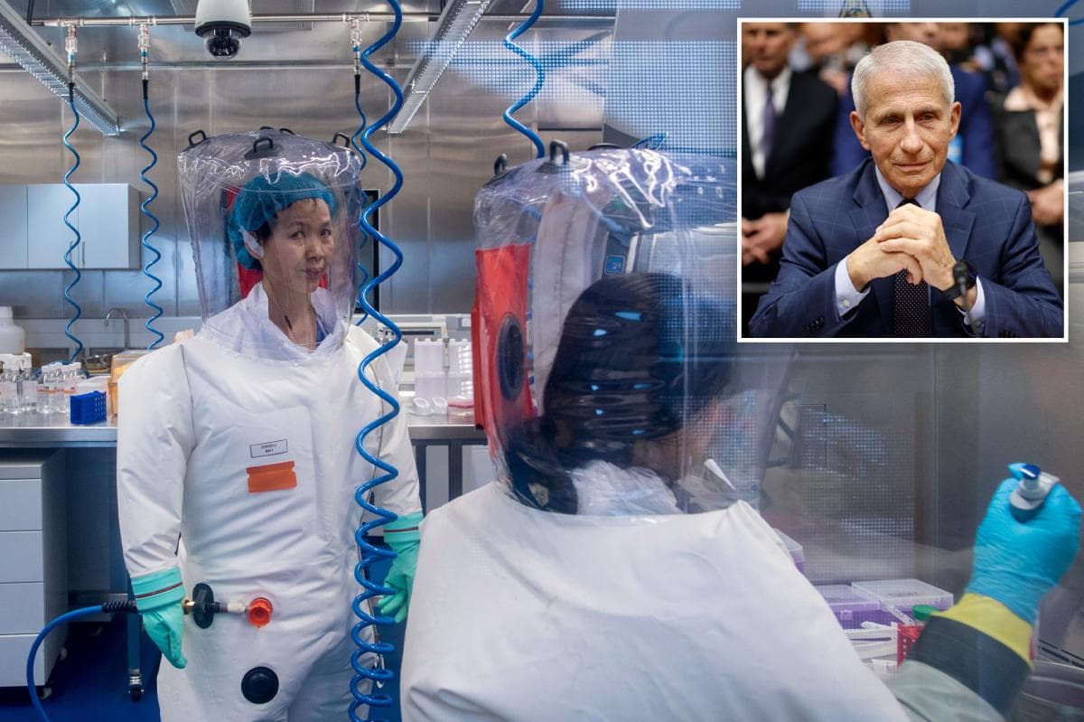 Questions Resurface Over US Funding and Wuhan Lab Research Questions Resurface Over US Funding and Wuhan Lab Research