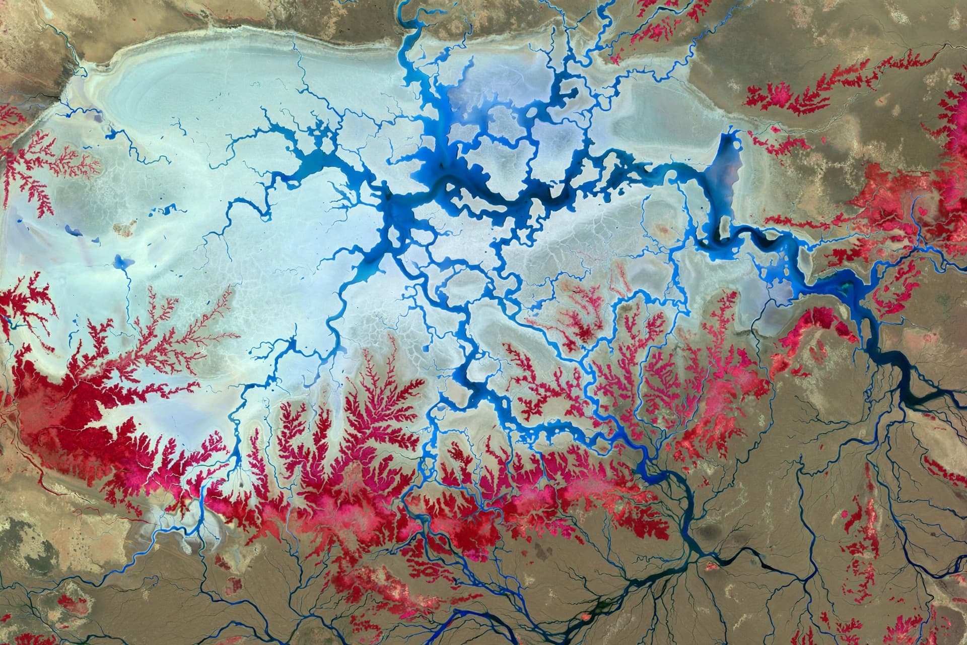 The Etosha Pan as Seen by a Satellite's Invisible Eye The Etosha Pan as Seen by a Satellite's Invisible Eye