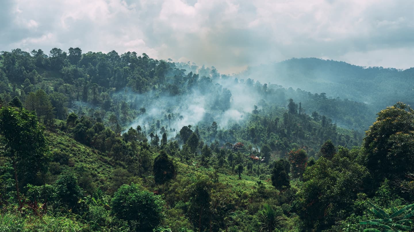Beneath Indonesia’s Drying Skies, Fire Moves Through Forests as Heat and Drought Deepen the Season Beneath Indonesia’s Drying Skies, Fire Moves Through Forests as Heat and Drought Deepen the Season