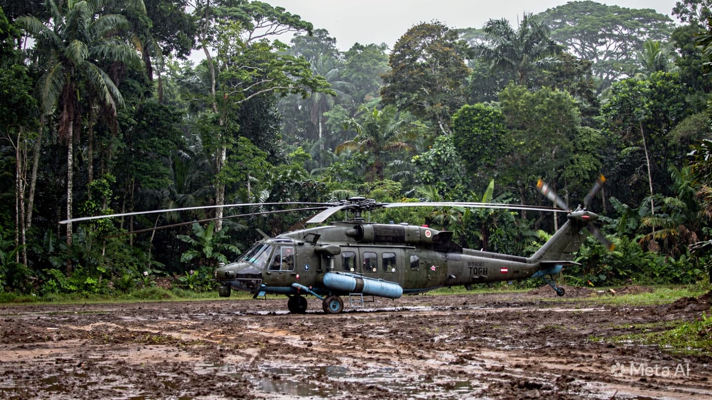 Illegal Timber War: Three Rangers Shot Dead After Confronting Logging Crews in Indonesia Illegal Timber War: Three Rangers Shot Dead After Confronting Logging Crews in Indonesia