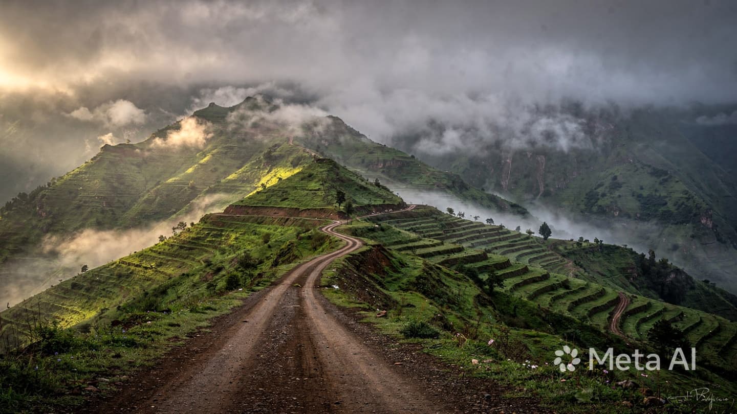 The Green Tide of the South: When the Jazan Heights Refused the Hidden Cargo The Green Tide of the South: When the Jazan Heights Refused the Hidden Cargo