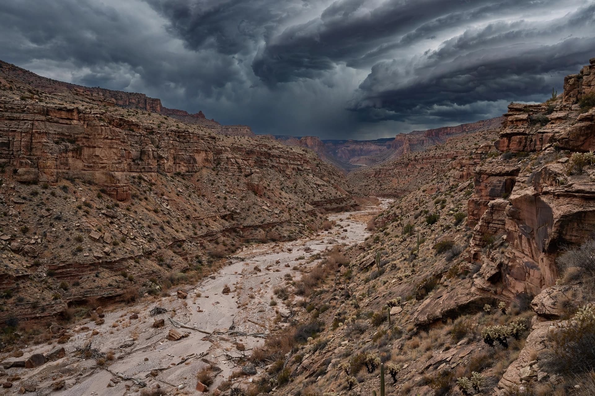 When the Desert Remembers Water: A Storm Takes Shape When the Desert Remembers Water: A Storm Takes Shape