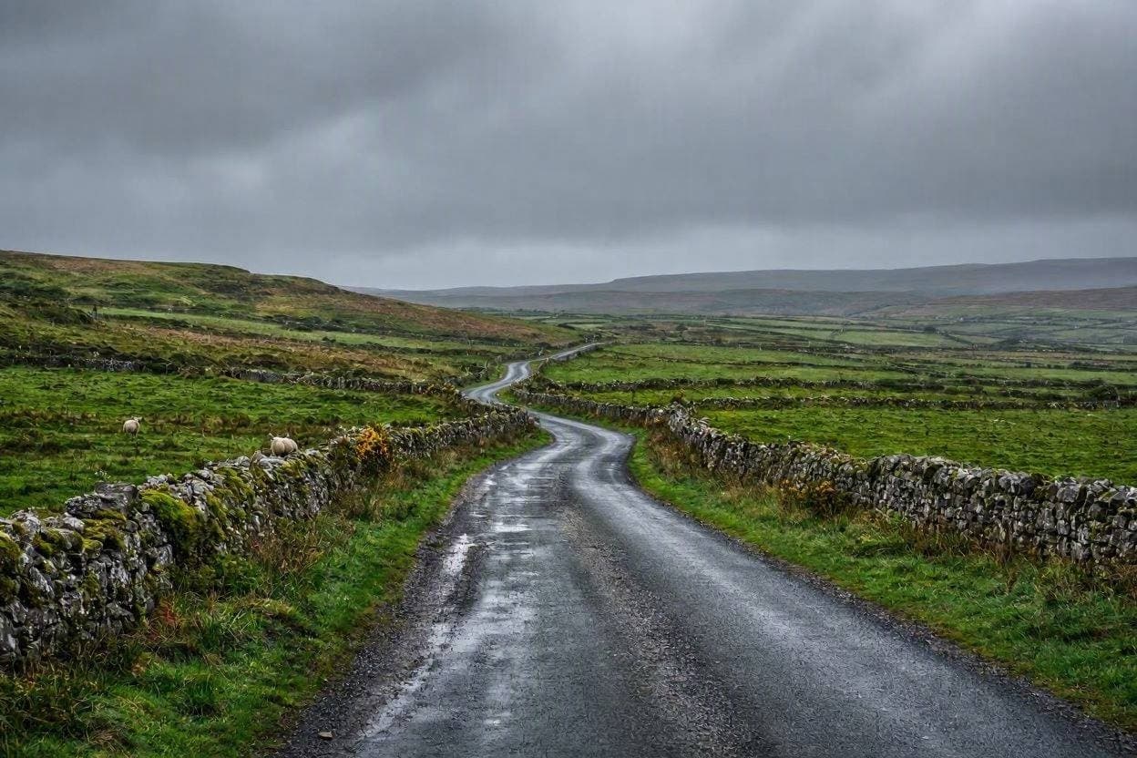 A Life Cut Short: The Fatal Crash in Co Cork A Life Cut Short: The Fatal Crash in Co Cork