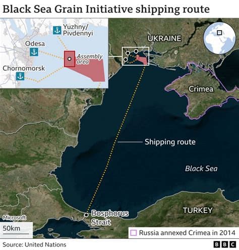 Ukraine Turns to Alternative Grain Export Routes as Russia Blocks Black Sea Ports Ukraine Turns to Alternative Grain Export Routes as Russia Blocks Black Sea Ports