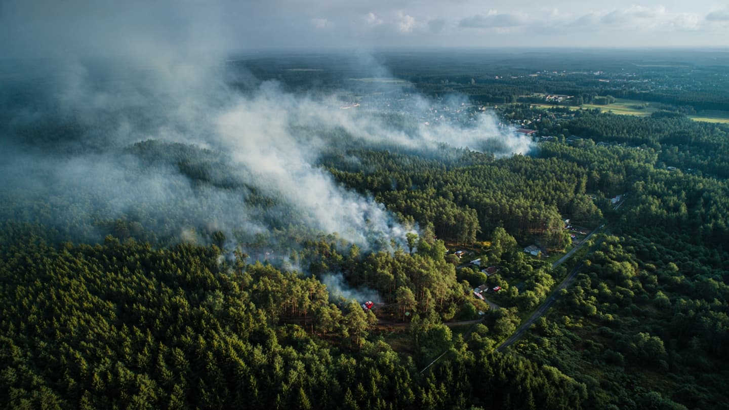 When Forests Meet Firelight: Reflections Across France’s Scorched Summer Landscapes And Changing Horizons When Forests Meet Firelight: Reflections Across France’s Scorched Summer Landscapes And Changing Horizons