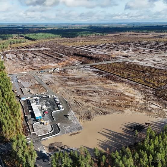 ‘Pure Arrogance’: Anger in Finland as Google Faces Scrutiny Over Forest Clearing for Data Centres ‘Pure Arrogance’: Anger in Finland as Google Faces Scrutiny Over Forest Clearing for Data Centres