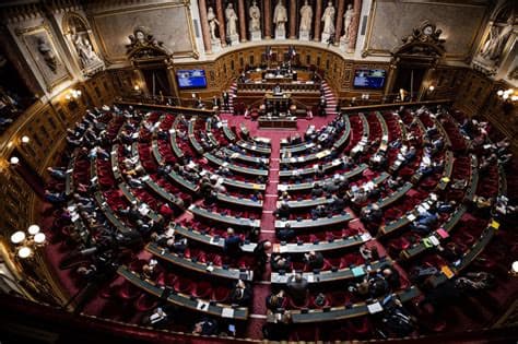 French Senate passes bill to make protesters pay for unrest damage French Senate passes bill to make protesters pay for unrest damage