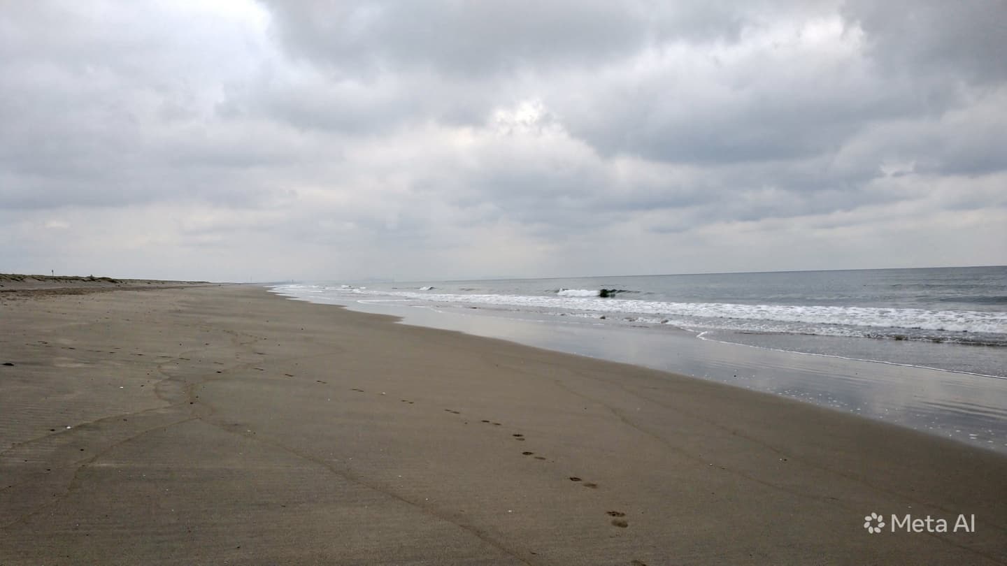 Chiba Beach Tragedy: Two Tourists Drown In Strong Currents Before Official Swimming Season Start Chiba Beach Tragedy: Two Tourists Drown In Strong Currents Before Official Swimming Season Start