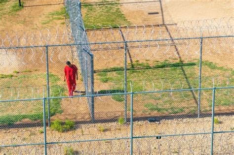 Kurdish Filmmaker Recounts Alleged “Inhumane” ICE Force-Feeding Kurdish Filmmaker Recounts Alleged “Inhumane” ICE Force-Feeding