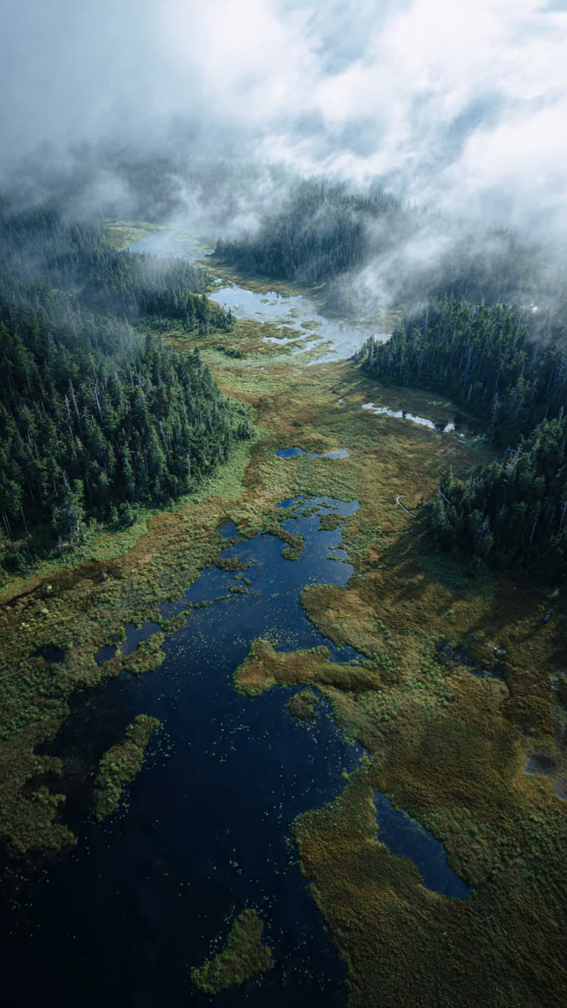 Of Borders and Biospheres: When the Nation Speaks for the Earth Of Borders and Biospheres: When the Nation Speaks for the Earth
