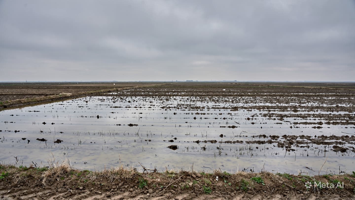 Where the Earth Swallows the Flood: A Sullen Chronicle of the Volgograd Dam Breach Where the Earth Swallows the Flood: A Sullen Chronicle of the Volgograd Dam Breach