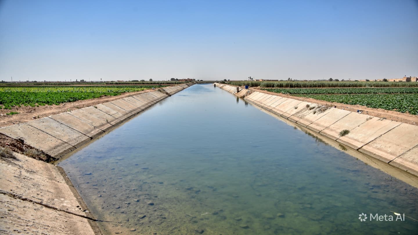 Egypt Vehicle Disaster: Nine Children Dead In Abu Tig District Canal Accident On Tuesday Egypt Vehicle Disaster: Nine Children Dead In Abu Tig District Canal Accident On Tuesday