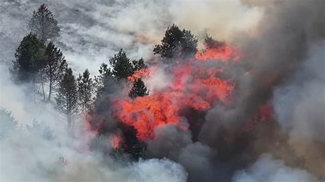Major incident declared over wildfire in North Wales as parts of UK face risk of “exceptional” blazes Major incident declared over wildfire in North Wales as parts of UK face risk of “exceptional” blazes