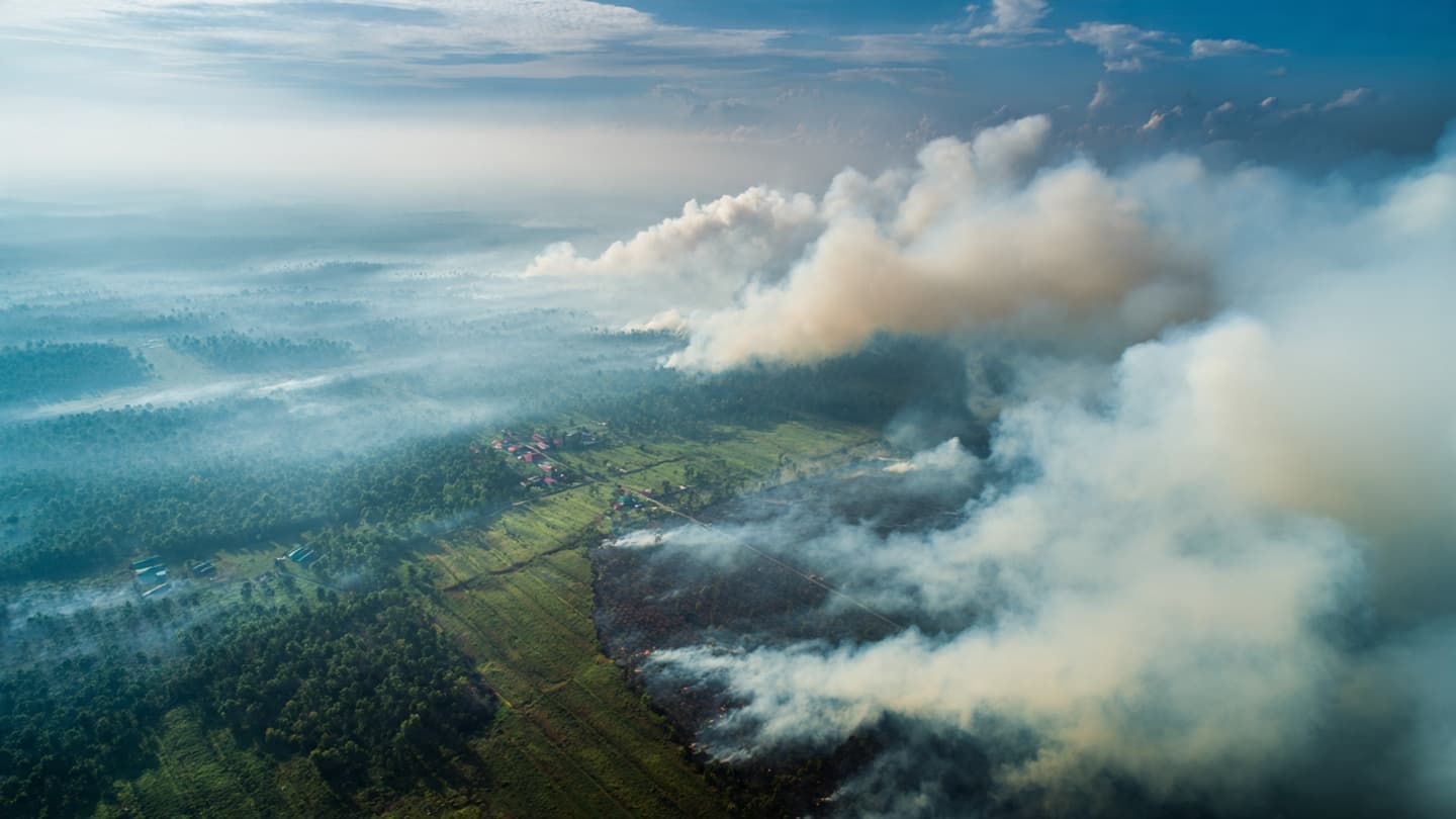 From Satellite Images to Burning Landscapes, Indonesia Investigates Companies Amid a Widening Wildfire Season From Satellite Images to Burning Landscapes, Indonesia Investigates Companies Amid a Widening Wildfire Season