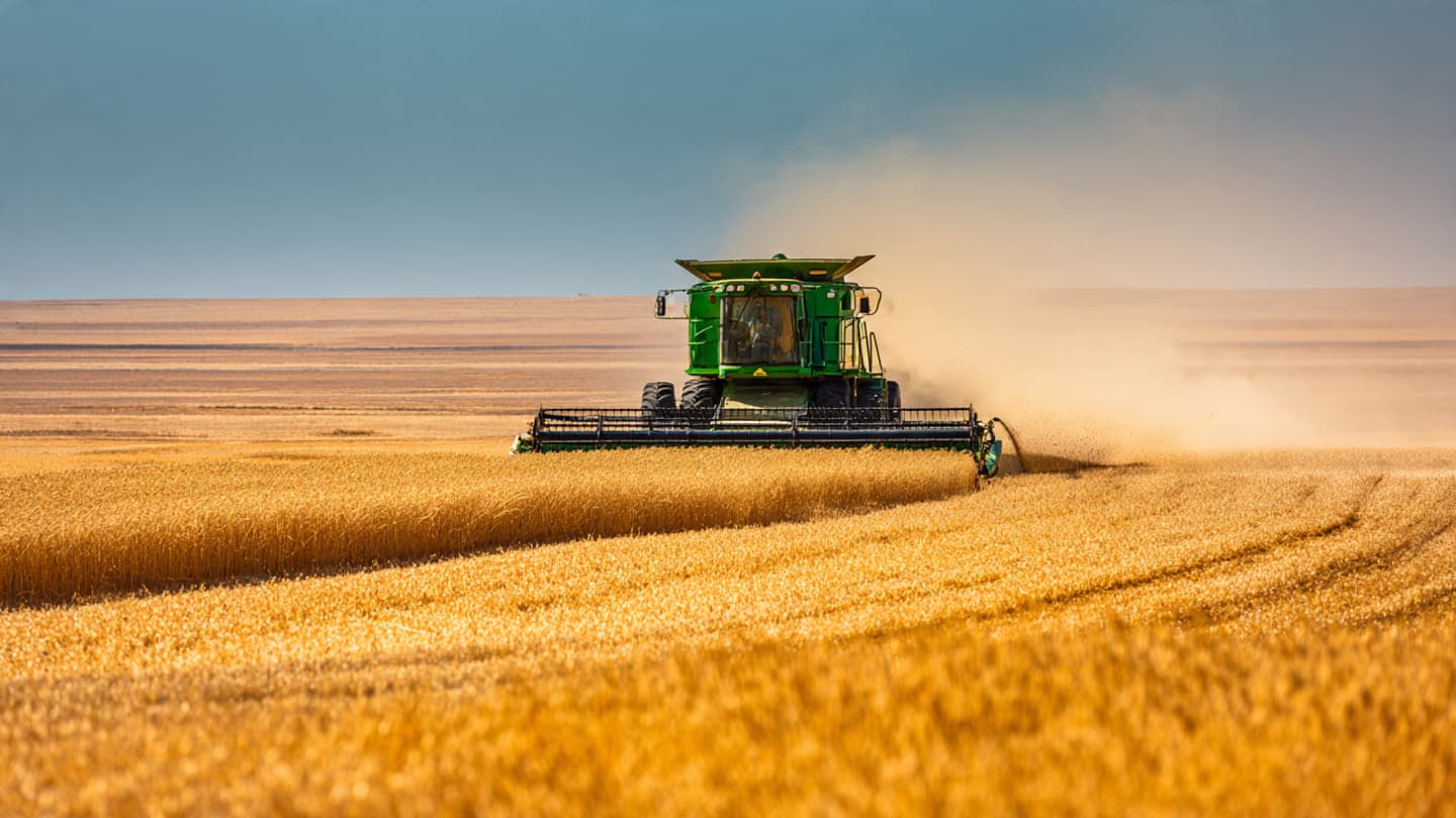 The Golden Sifting: A Narrative of Seasonal Change Within the Vast Australian Grain Belts The Golden Sifting: A Narrative of Seasonal Change Within the Vast Australian Grain Belts