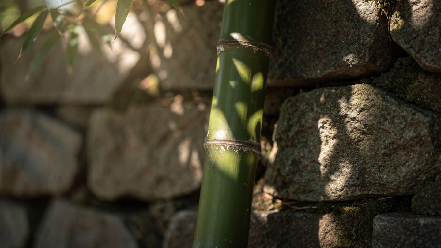 When a Simple Tool of the Earth Becomes the Instrument of a Final Silence When a Simple Tool of the Earth Becomes the Instrument of a Final Silence