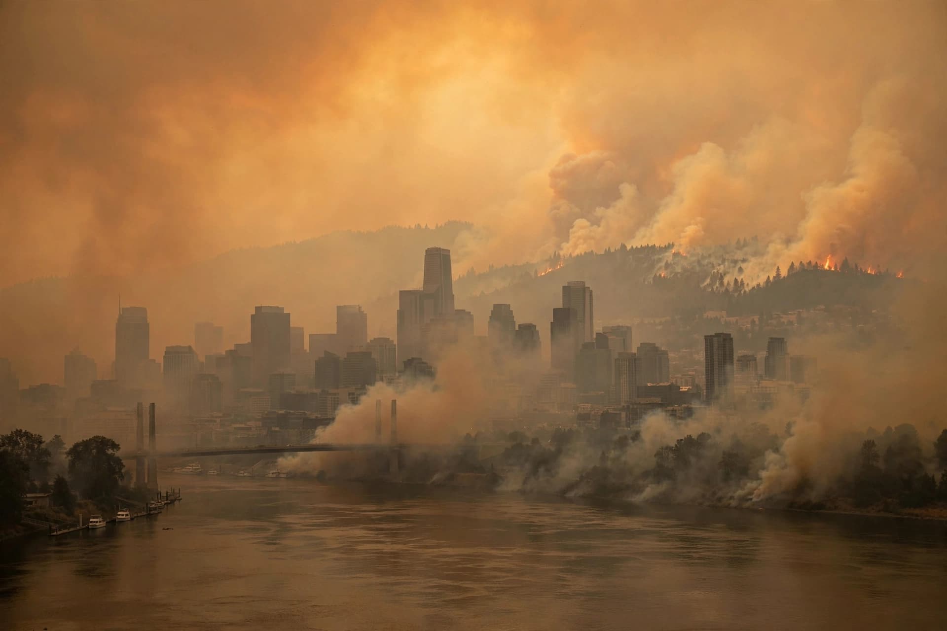 Wildfire smoke is more toxic than typical urban pollution Wildfire smoke is more toxic than typical urban pollution