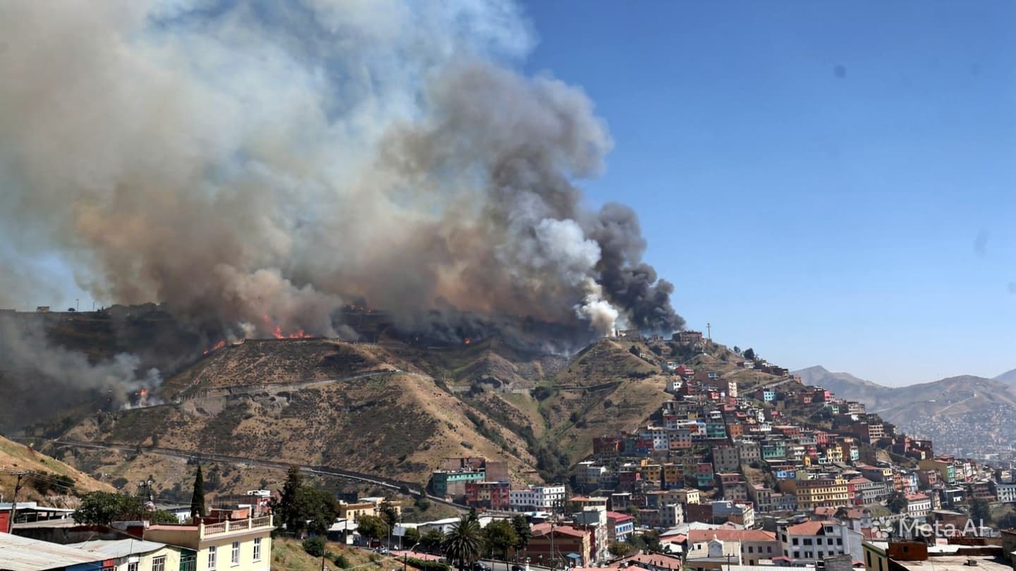 Valparaíso Forest Fire: One Person Confirmed Dead as Regional Authorities Struggle Against Spreading Blaze Valparaíso Forest Fire: One Person Confirmed Dead as Regional Authorities Struggle Against Spreading Blaze