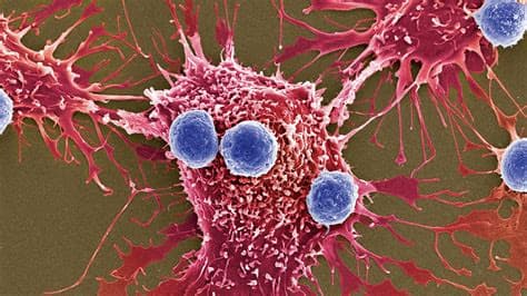 Scientists Discover Frog-Gut Bacterium That Eliminated Cancer Tumors in Mice Scientists Discover Frog-Gut Bacterium That Eliminated Cancer Tumors in Mice