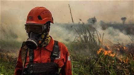 Indonesia Battles Wildfires as Toxic Haze Reaches the Philippines Indonesia Battles Wildfires as Toxic Haze Reaches the Philippines