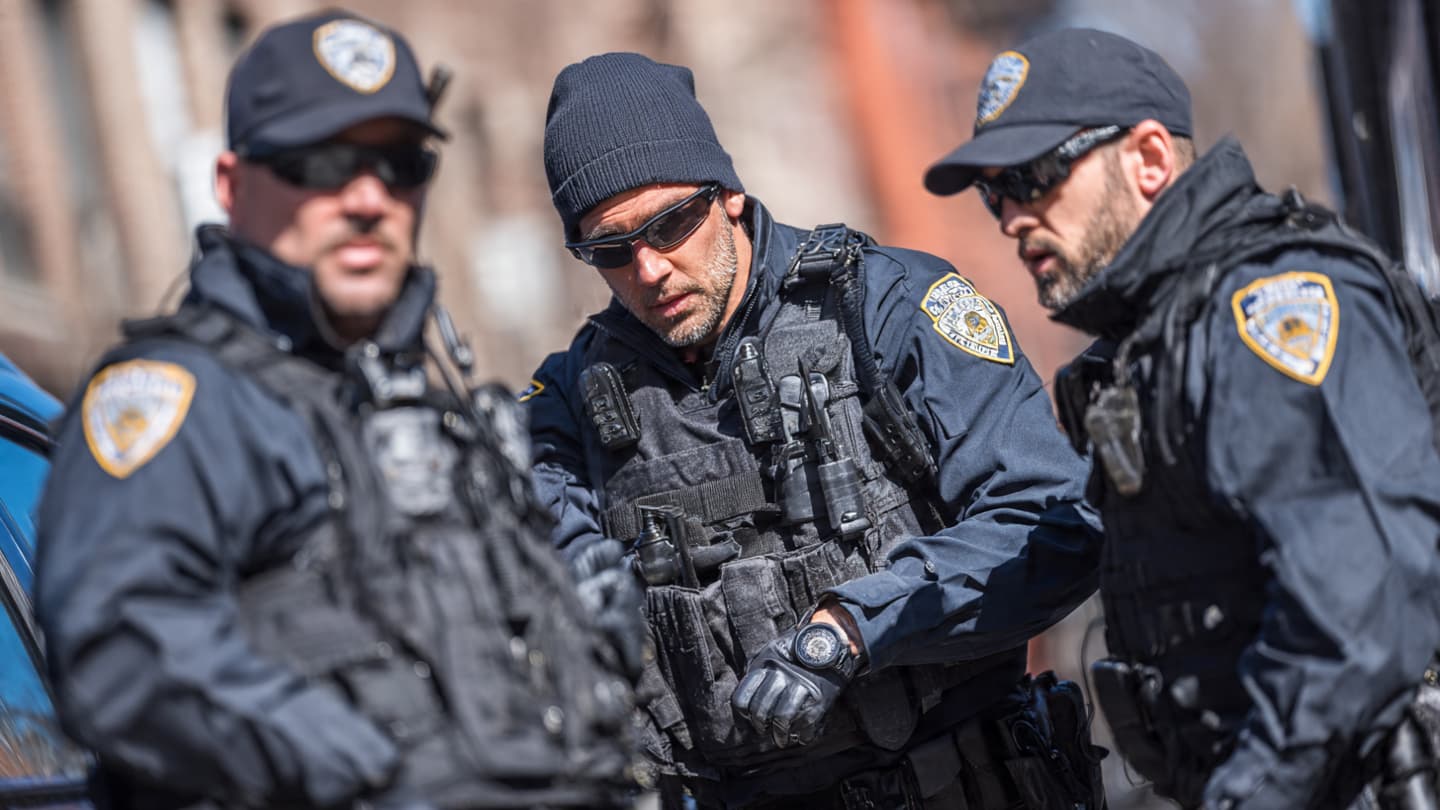 When hidden networks surface, what do coordinated arrests quietly reveal? When hidden networks surface, what do coordinated arrests quietly reveal?