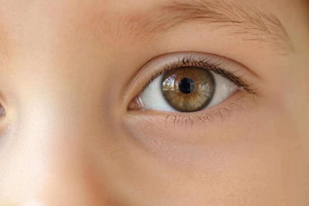 The Quiet Flicker: A New Lens on Childhood Attention The Quiet Flicker: A New Lens on Childhood Attention
