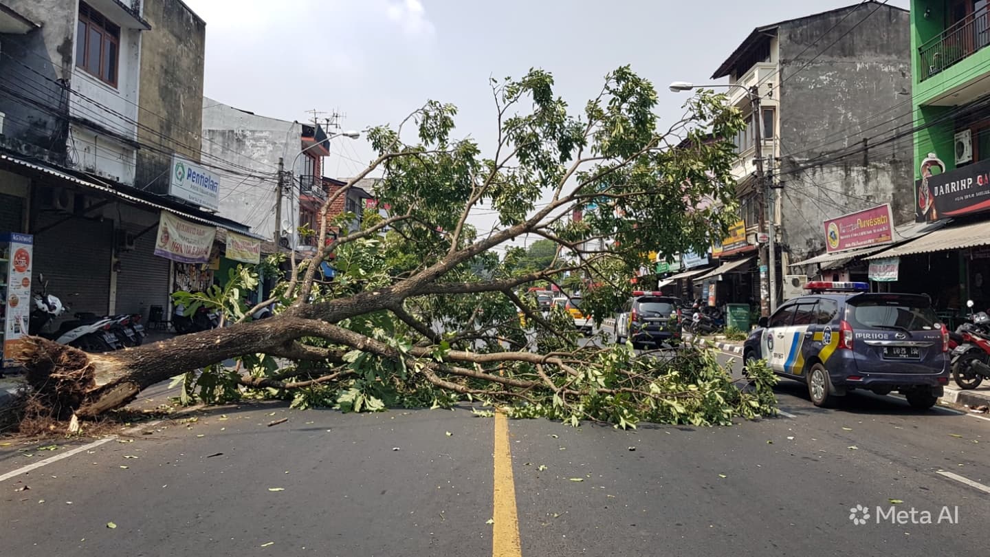 Yogyakarta Road Tragedy: Fallen Tree Strikes Motorcyclist, One Dead in Busy City District Today Yogyakarta Road Tragedy: Fallen Tree Strikes Motorcyclist, One Dead in Busy City District Today