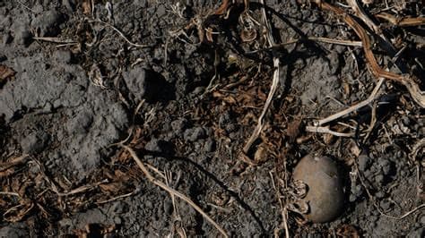 France Announces €1.1 Billion Emergency Aid for Farmers After Record Heat and Drought France Announces €1.1 Billion Emergency Aid for Farmers After Record Heat and Drought