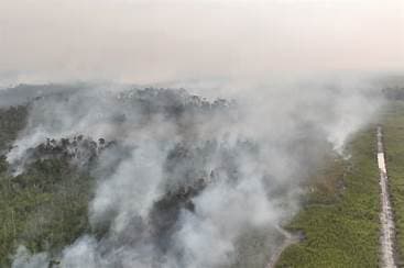 Indonesian Police Arrest 72 People Suspected of Starting Forest Fires Indonesian Police Arrest 72 People Suspected of Starting Forest Fires