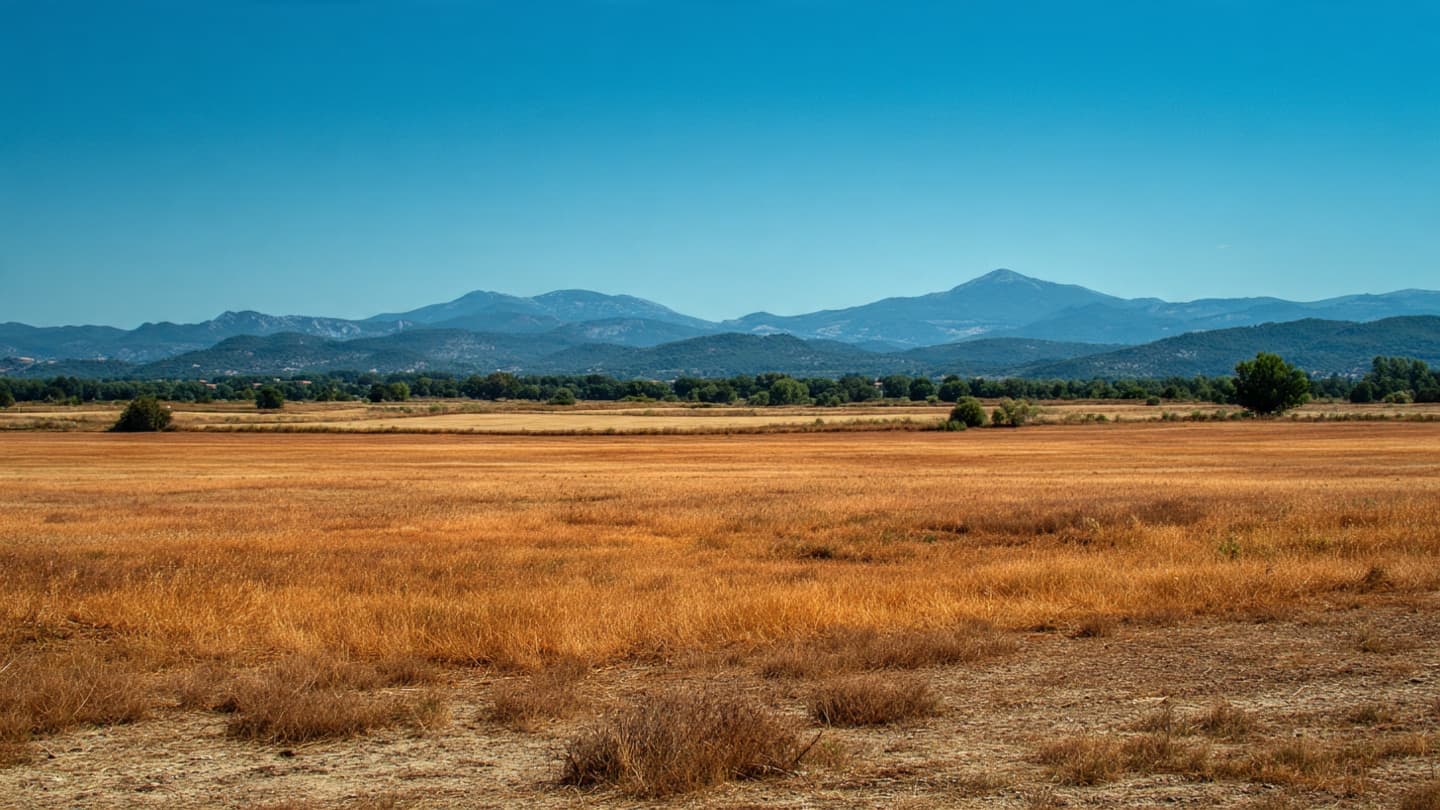 Heat and Drought Across France Leave a Quiet Mark on Growth as Summer Pressures the Economy Heat and Drought Across France Leave a Quiet Mark on Growth as Summer Pressures the Economy